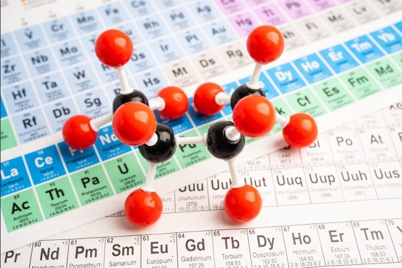 특수·정밀 화학